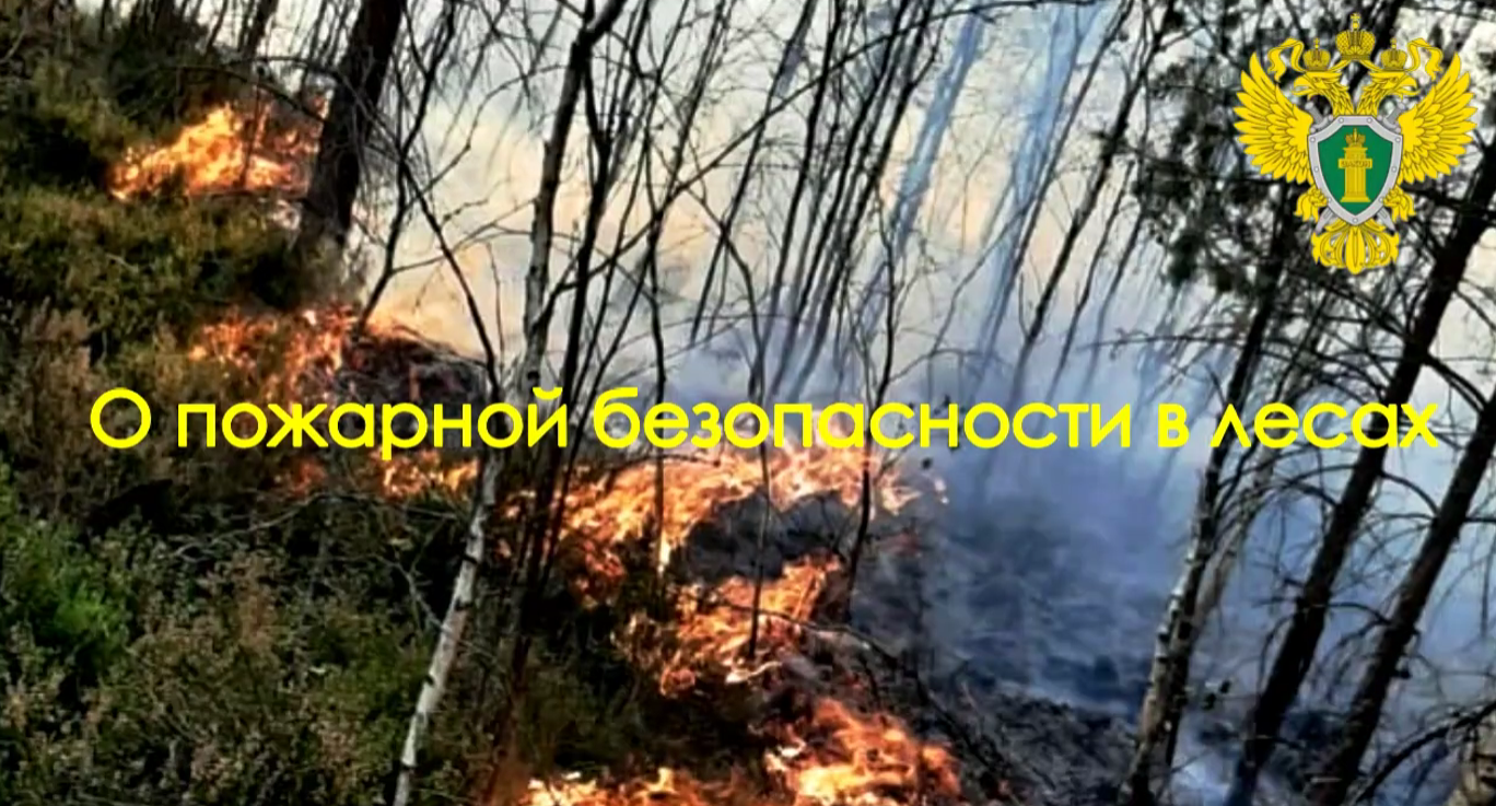 Новгородская межрайонная природоохранная прокуратура подготовила социальный ролик о пожарной опасности в лесах.