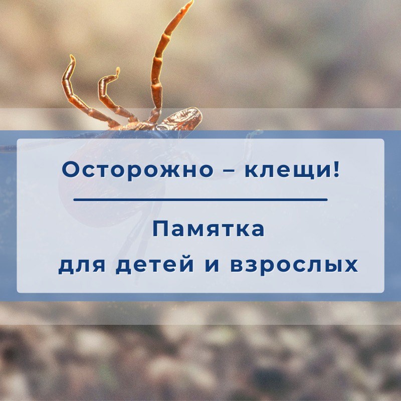 Выходя на природу весной, нужно быть особенно аккуратным. Ведь сейчас активизировались клещи. Один маленький безболезненный укус может обернуться большими проблемами..