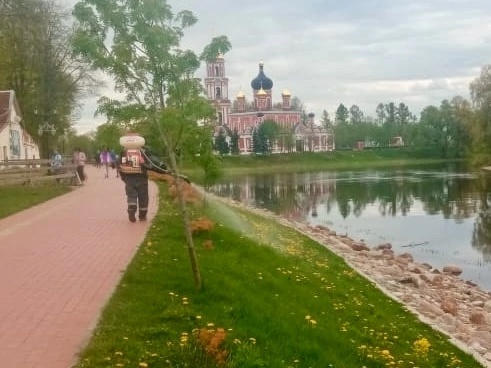 Уважаемые старорусцы!.