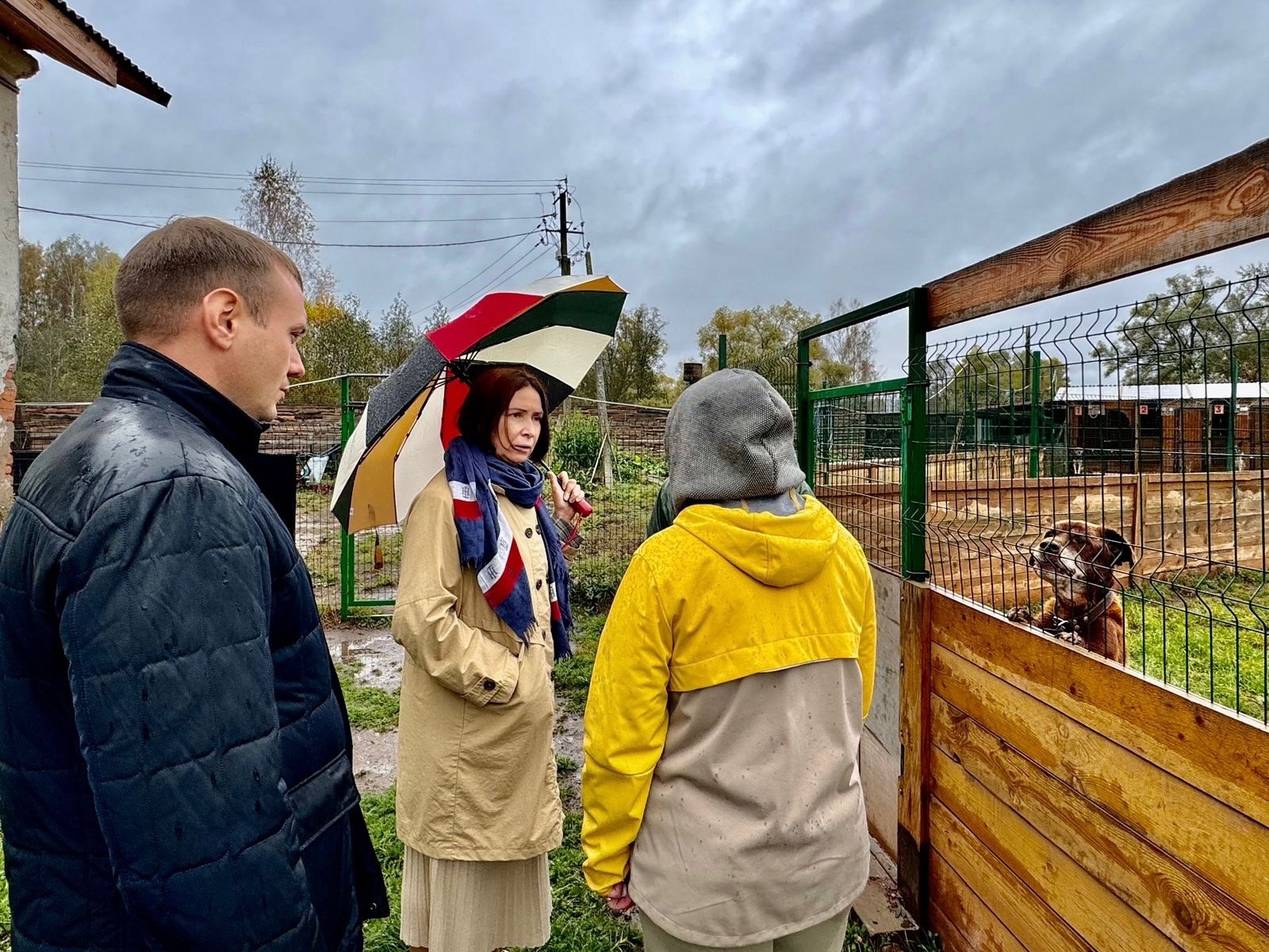 Поддерживаем наши социальные некоммерческие организации!.