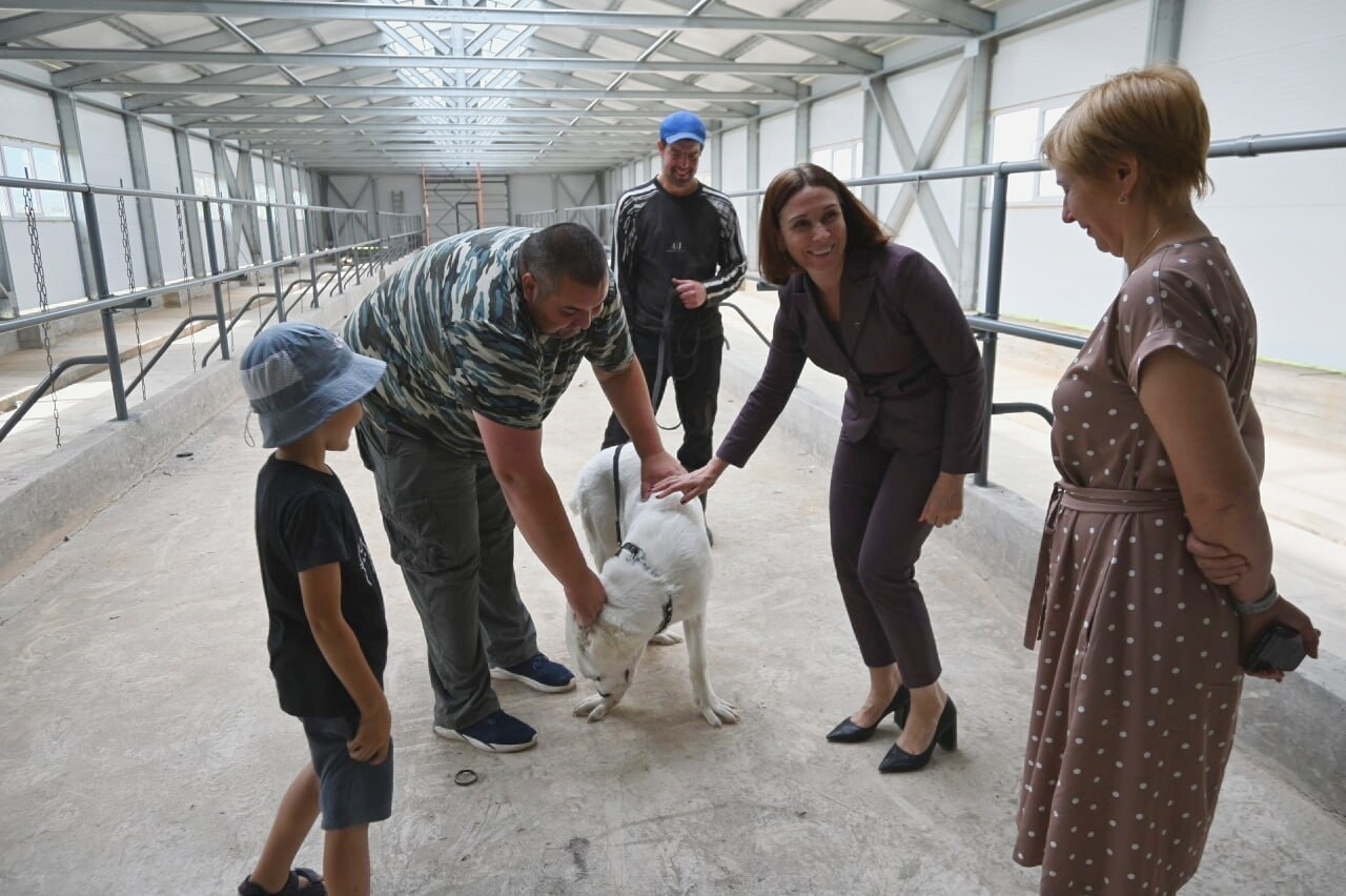 В деревне Новоселье Залучского сельского поселения, благодаря грантовой поддержке, строится новая ферма Плотникова Дмитрия Викторовича.