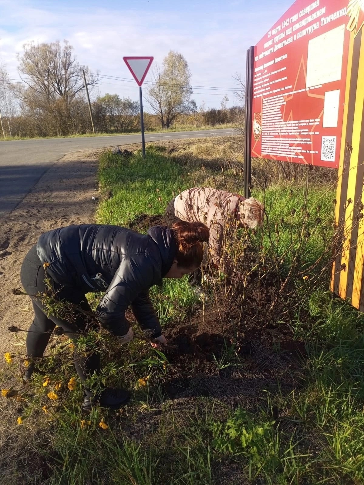 Осенняя пора традиционно является сезоном наведения чистоты и благоустройства перед зимой..