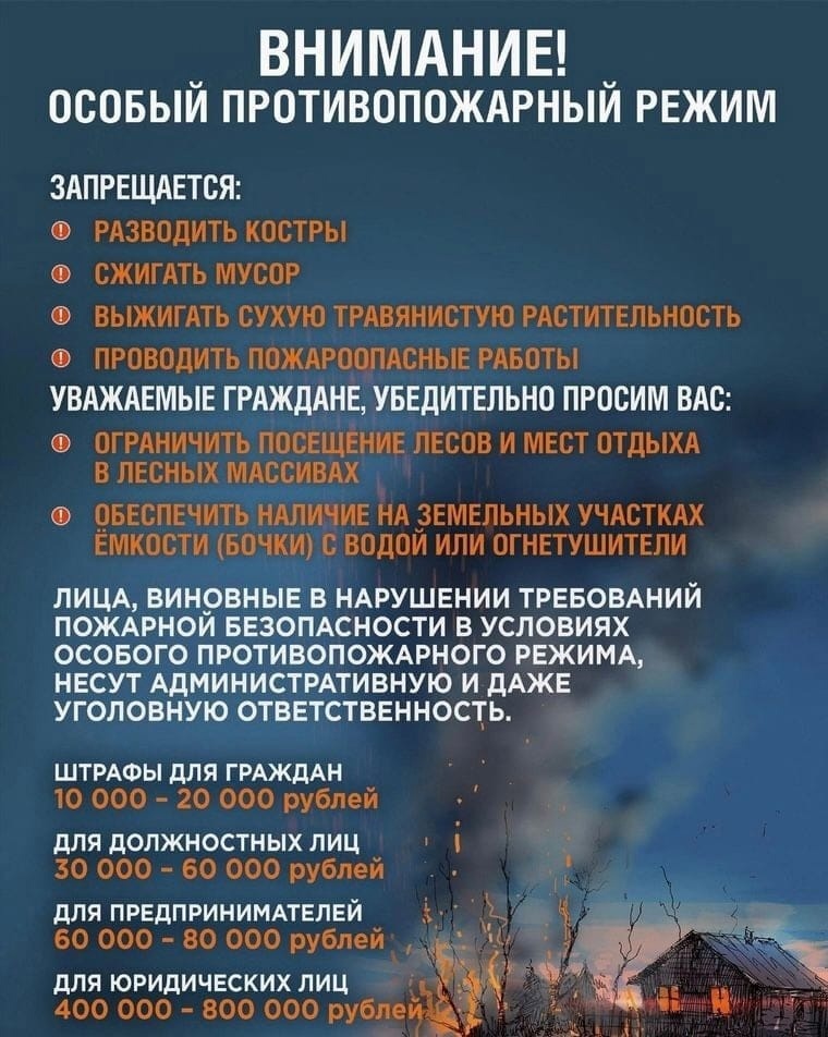 14 апреля в Новгородской области введен особый противопожарный режим.