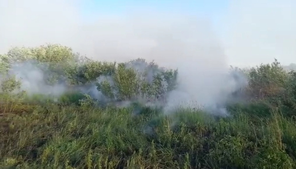 В ближайшее время осадков в Старорусском районе не предвидится, столбик термометра поднимется к отметке 30 градусов. Призываем жителей проявлять сознательность, быть предельно осторожными с огнем и соблюдать правила пожарной безопасности.