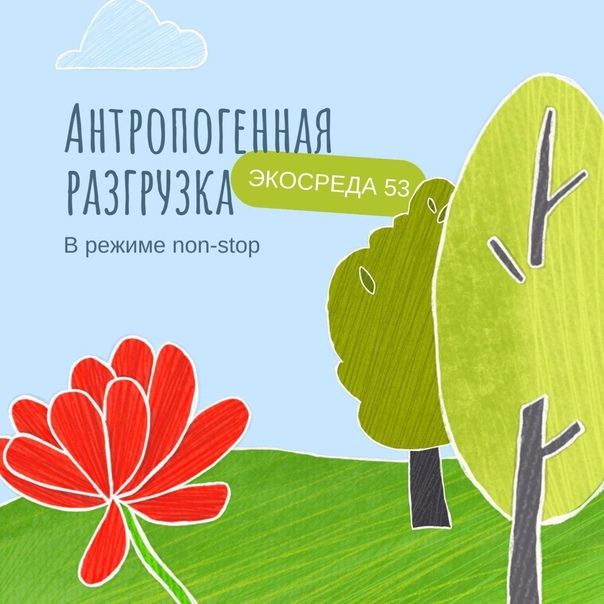 Опубликованы итоги работы губернаторского экологического проекта «Экосреда 53».