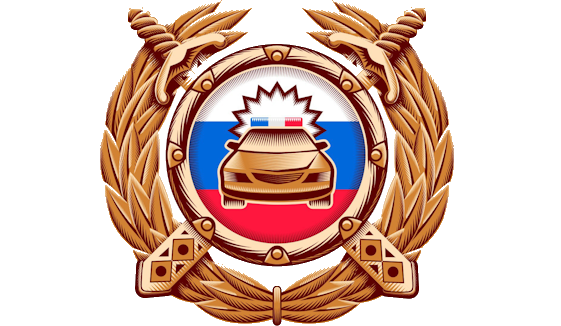 Результаты проведения профилактического мероприятия «Встречная полоса». Результаты проведения профилактического мероприятия «Встречная полоса».