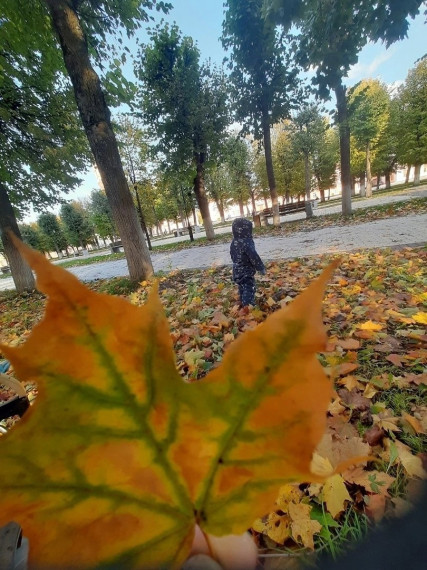 "Первые шаги, в шуршании осенних листьев" особенно трогательны. "Первые шаги, в шуршании осенних листьев" особенно трогательны.