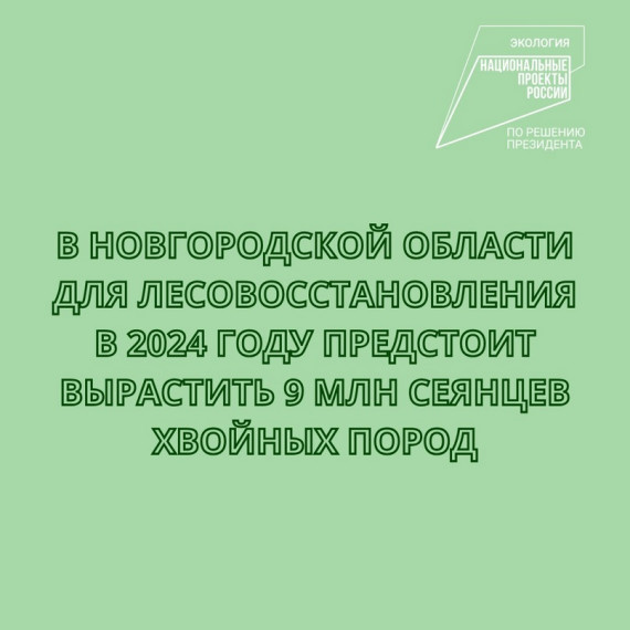 Ежегодно задачи по лесовосстановлению в регионе выполняются на сто процентов.. Ежегодно задачи по лесовосстановлению в регионе выполняются на сто процентов..