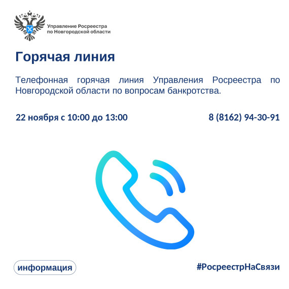 Управление Росреестра по Новгородской области проведет горячую линию по вопросам банкротства. Управление Росреестра по Новгородской области проведет горячую линию по вопросам банкротства.