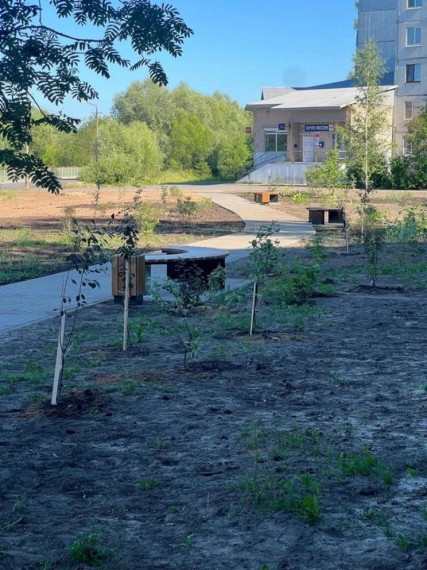 В 2025 году Старорусский муниципальный округ планирует продолжить активное участие во всех проектах инициативного бюджетирования. В 2025 году Старорусский муниципальный округ планирует продолжить активное участие во всех проектах инициативного бюджетирования.