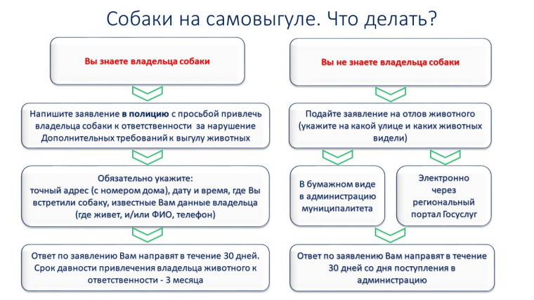 Собаки на самовыгуле. Что делать?. Собаки на самовыгуле. Что делать?.